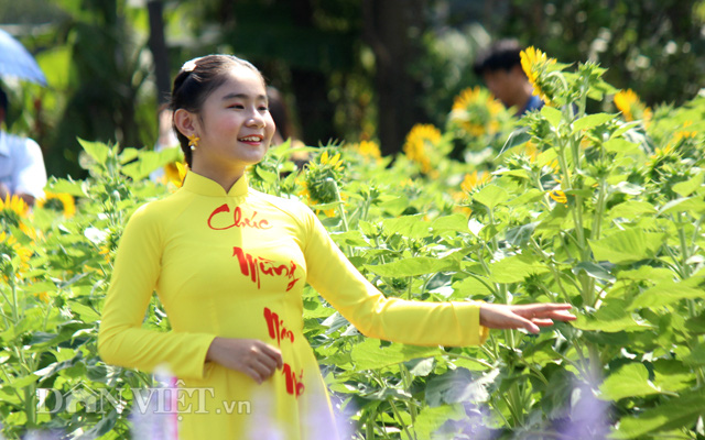 Người thành phố ra bờ sông Sài Gòn ngắm hoa Đà Lạt, thích thú giả làm nông dân - Ảnh 10.