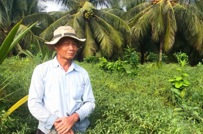 Tiền Giang: Cánh đồng trồng rặt một thứ cây ăn cay xè, 1ha lãi 500 triệu, xây được nhà tậu xe - Ảnh 3.