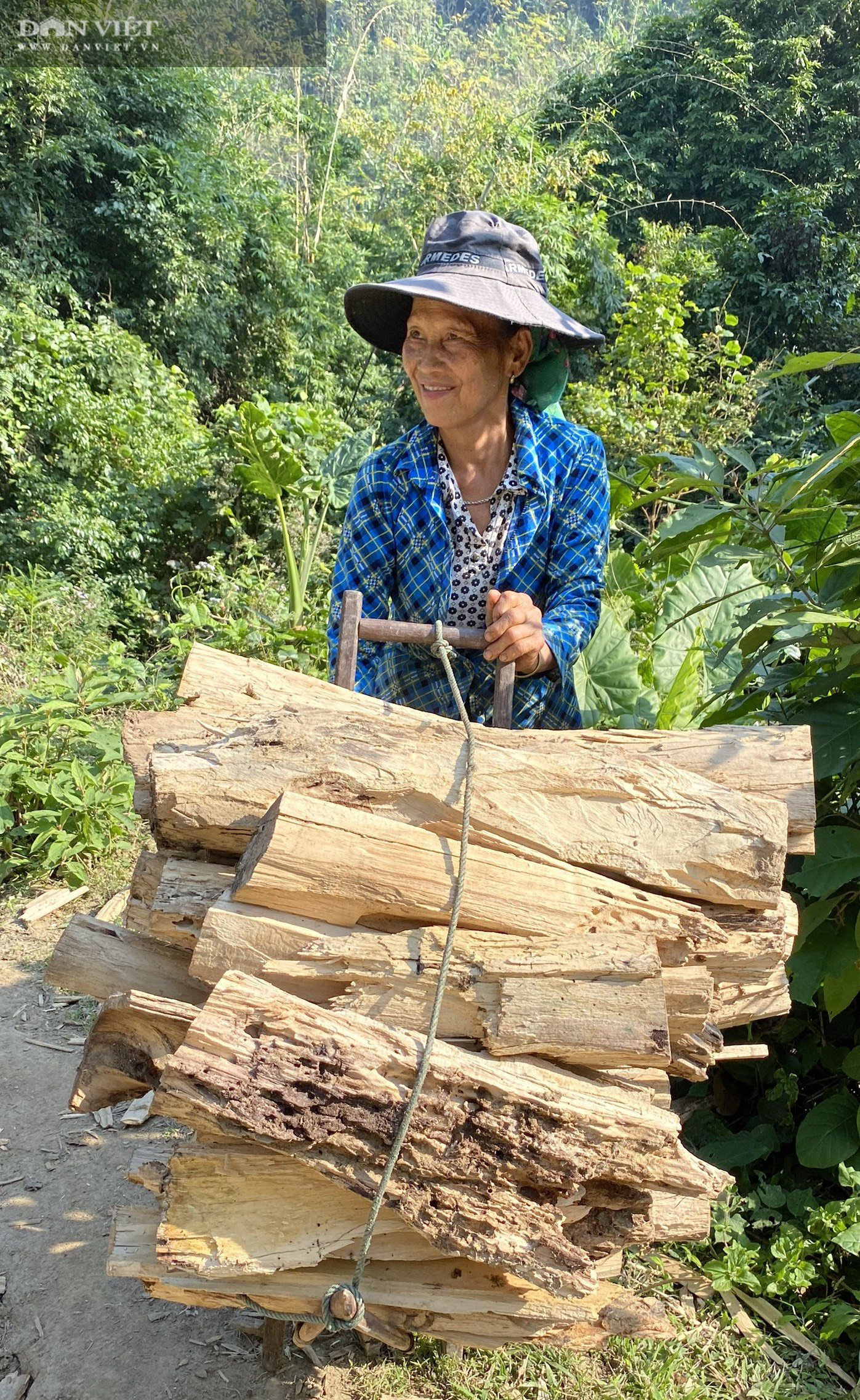 &quot;Huyền thoại&quot; của những người an ủi Mẹ Rừng&quot;: Cho tổ quốc và địa cầu xanh mãi - Ảnh 5.