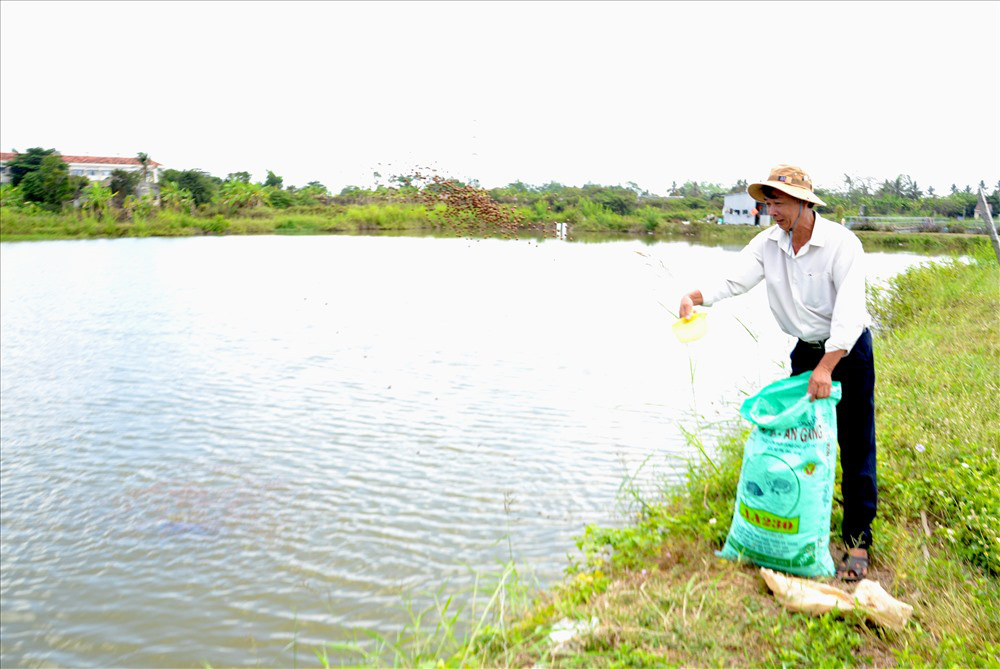 Tiền Giang: Chuyện ly kỳ về loài cá hô có hình dáng khổng lồ, &quot;cá vợ cá chồng&quot; sống với nhau &quot;trăm năm hạnh phúc&quot; - Ảnh 1.