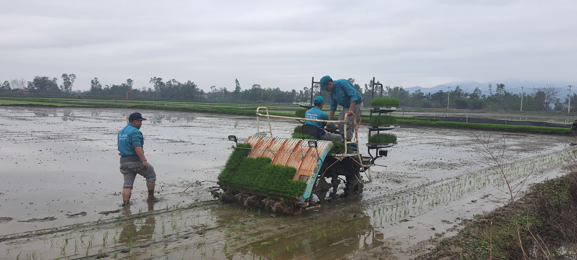 Đà Nẵng: Nông dân thích thú kỹ thuật sản xuất mạ khay, cấy lúa bằng máy Kubota - Ảnh 8.