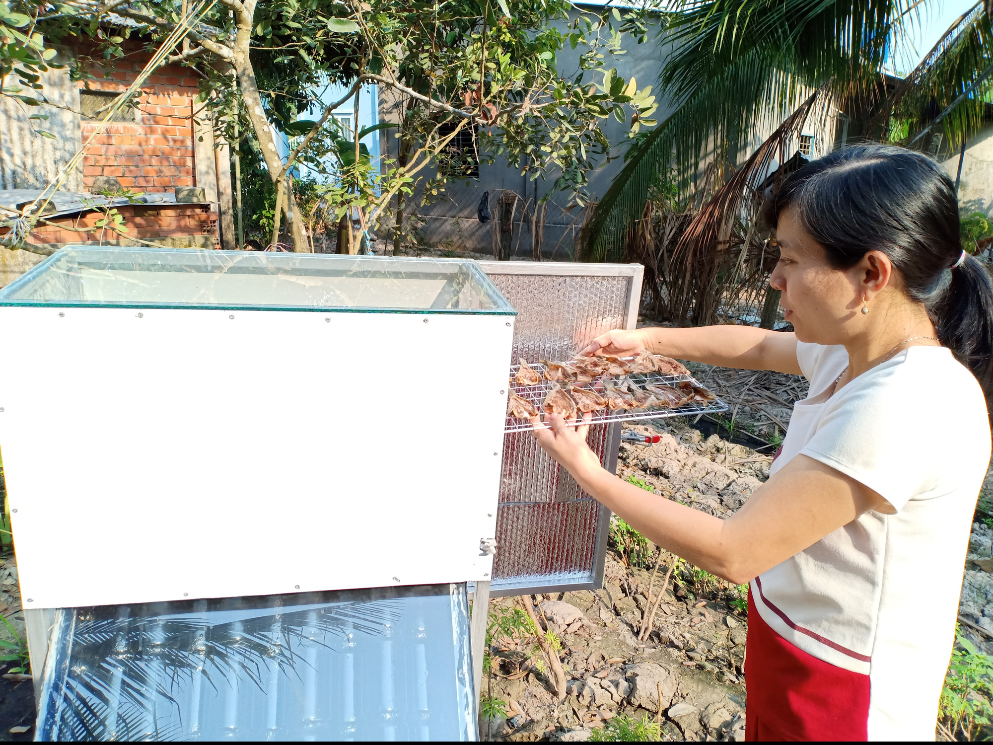 Kiên Giang: Một cô giáo làng sáng chế máy sấy tự động, sấy rau, củ, quả, cá, càng nắng to sấy càng mau khô - Ảnh 1.