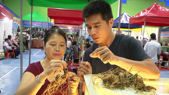 Quảng Nam: Đầu năm mới bán củ bé tí tẹo, dân miền núi đút túi 2 tỷ đồng - Ảnh 2.