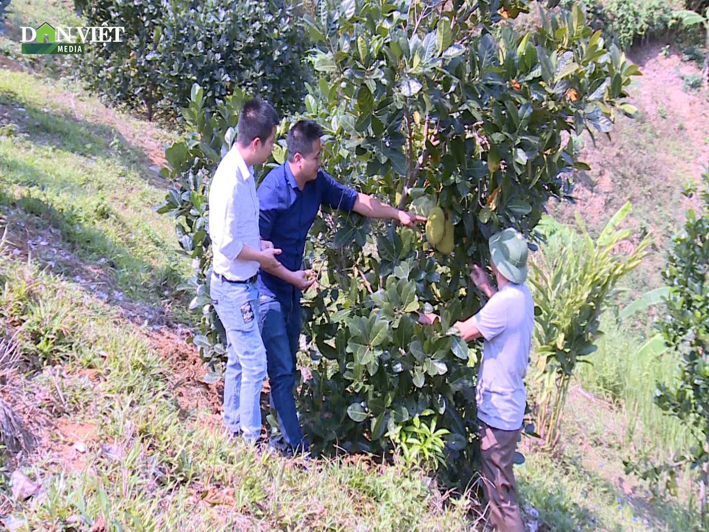 Điện Biên: Lay Nưa phấn đấu trở thành xã nông thôn mới (NTM) nâng cao - Ảnh 4.