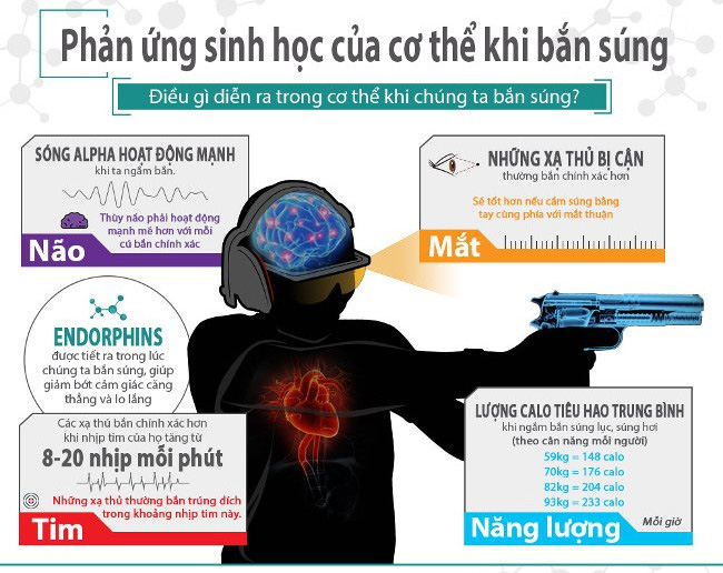 Điều gì sẽ xảy ra trong cơ thể khi chúng ta bắn súng? - Ảnh 2.