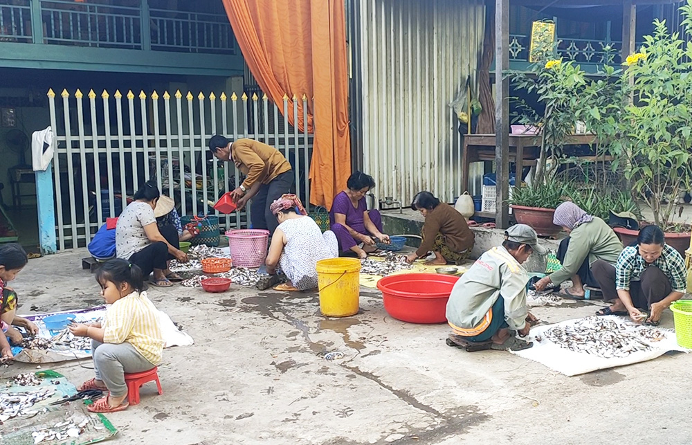 An Giang: Nước đầu nguồn rút, mỗi ngày đưa về hàng tấn cá linh đặc sản làm ra thứ mắm hôi mà lắm người mê - Ảnh 1.