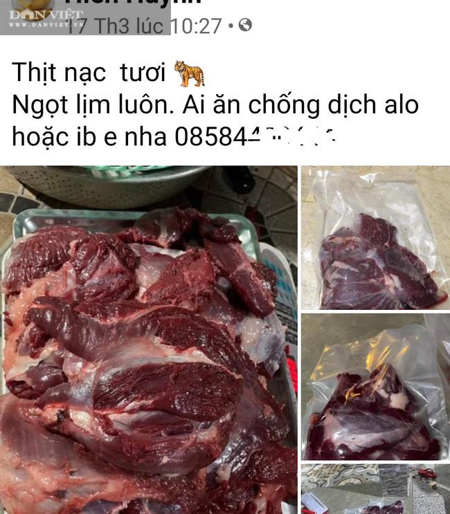 Báo điện tử Dân Việt đạt giải nhất giải báo chí “Toàn cảnh cuộc khủng hoảng hoang dã&quot; năm 2020 - Ảnh 2.