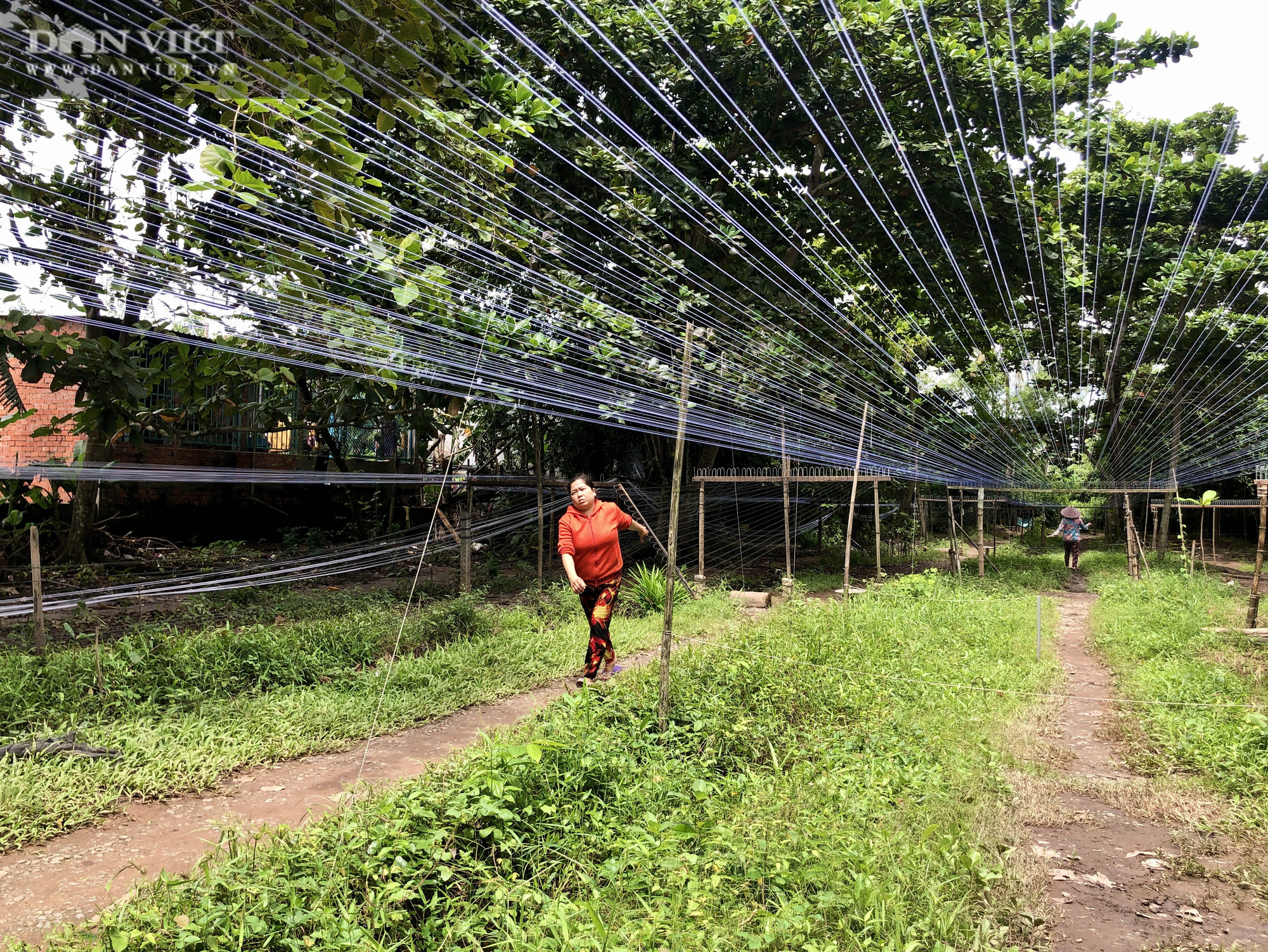 An Giang: Lạ lùng nghề truyền thống, mỗi ngày người làm đi bộ từ 10-15km - Ảnh 5.