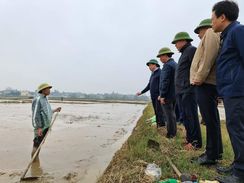 Tập trung khắc phục khó khăn, khôi phục sản xuất nông nghiệp sau thiên tai tại Hà Tĩnh và Quảng Bình - Ảnh 6.