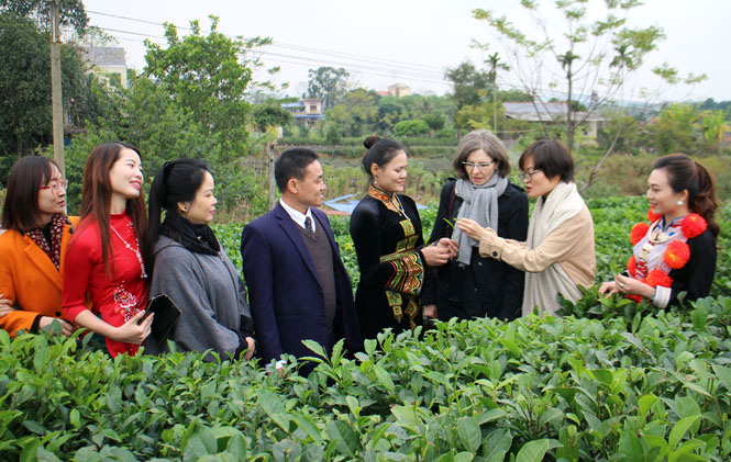 Đại sứ đặc mệnh toàn quyền Canada tại Việt Nam thăm và làm việc tại Thái Nguyên - Ảnh 2.