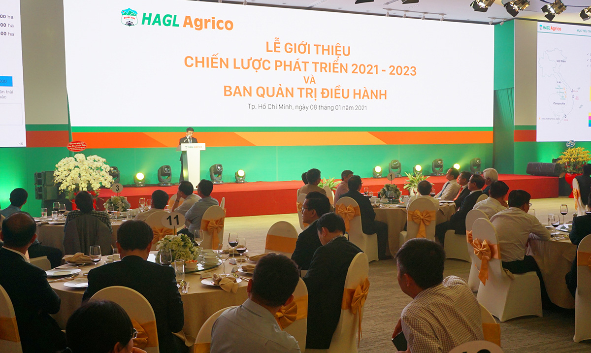 Ông Trần Bá Dương đảm nhận vị trí Chủ tịch HĐQT HAGL Agrico - Ảnh 2.