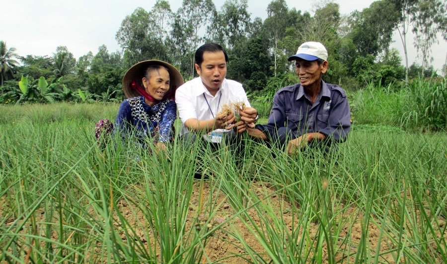 Đà Nẵng: Tín dụng chính sách &quot;đòn bẩy&quot; thúc đẩy kinh tế xã hội phát triển - Ảnh 4.