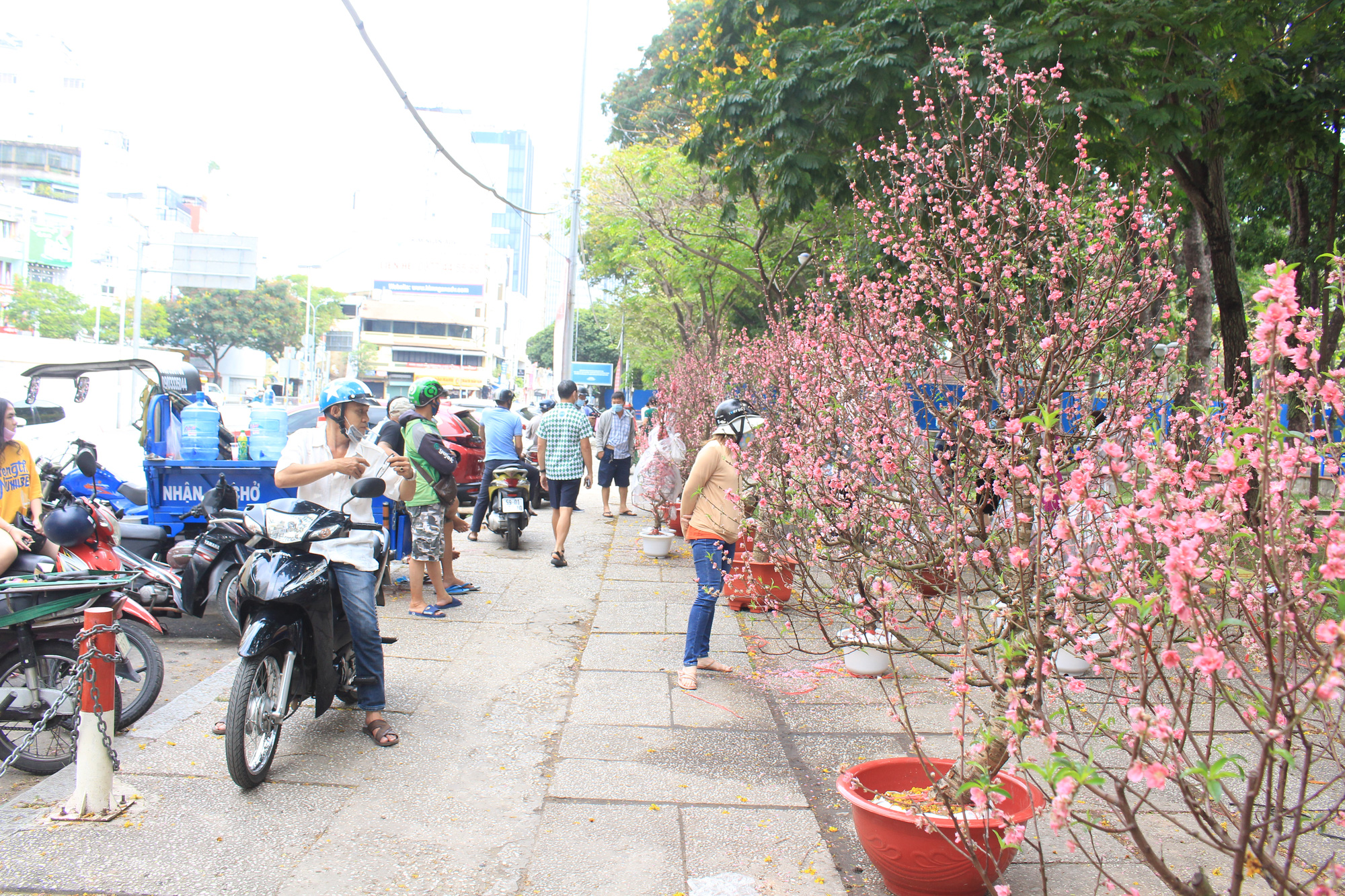 Chợ hoa &quot;nhà giàu&quot; Sài Gòn chỉ còn hơn chục cây đào, nhiều người bắt đầu đổ xô đi mua hoa - Ảnh 10.