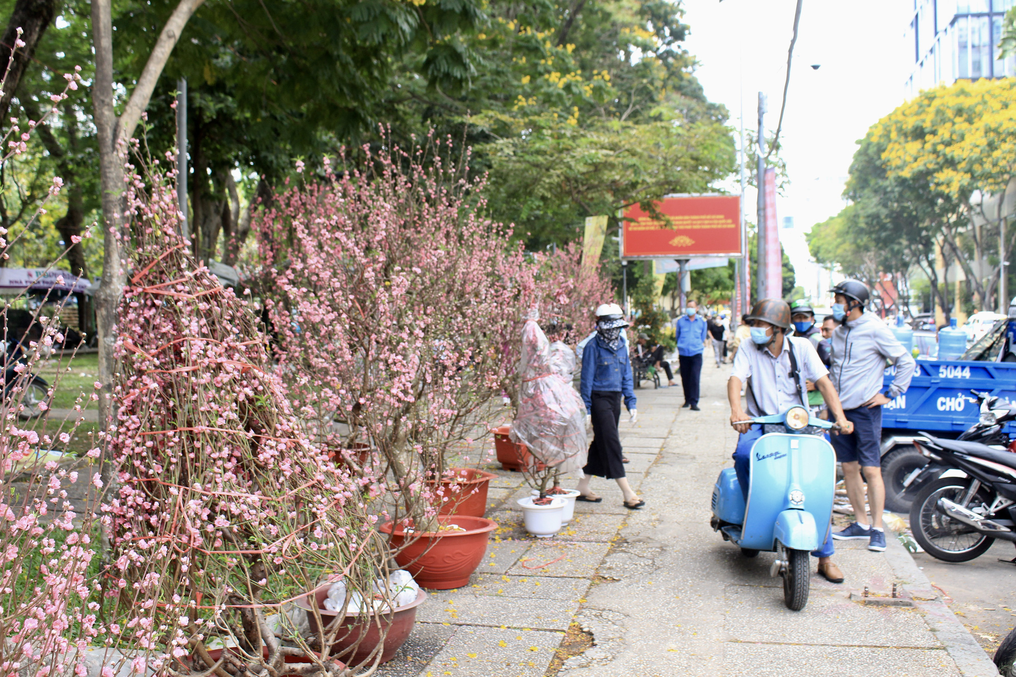 Chợ hoa &quot;nhà giàu&quot; Sài Gòn chỉ còn hơn chục cây đào, nhiều người bắt đầu đổ xô đi mua hoa - Ảnh 11.