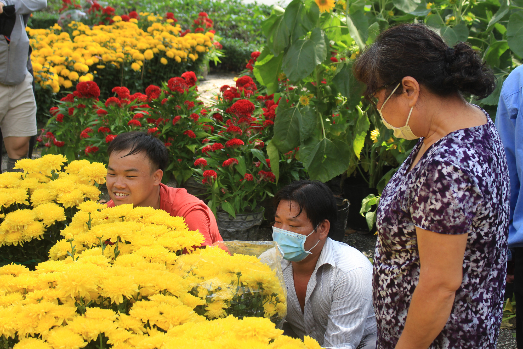 Chợ hoa &quot;nhà giàu&quot; Sài Gòn chỉ còn hơn chục cây đào, nhiều người bắt đầu đổ xô đi mua hoa - Ảnh 3.