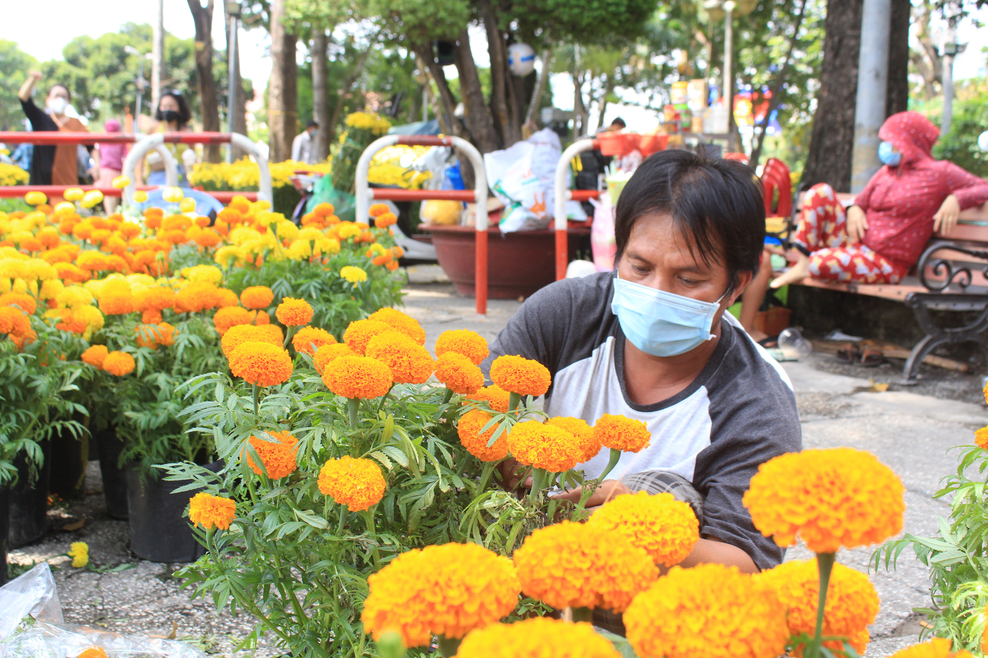 Chợ hoa &quot;nhà giàu&quot; Sài Gòn chỉ còn hơn chục cây đào, nhiều người bắt đầu đổ xô đi mua hoa - Ảnh 5.