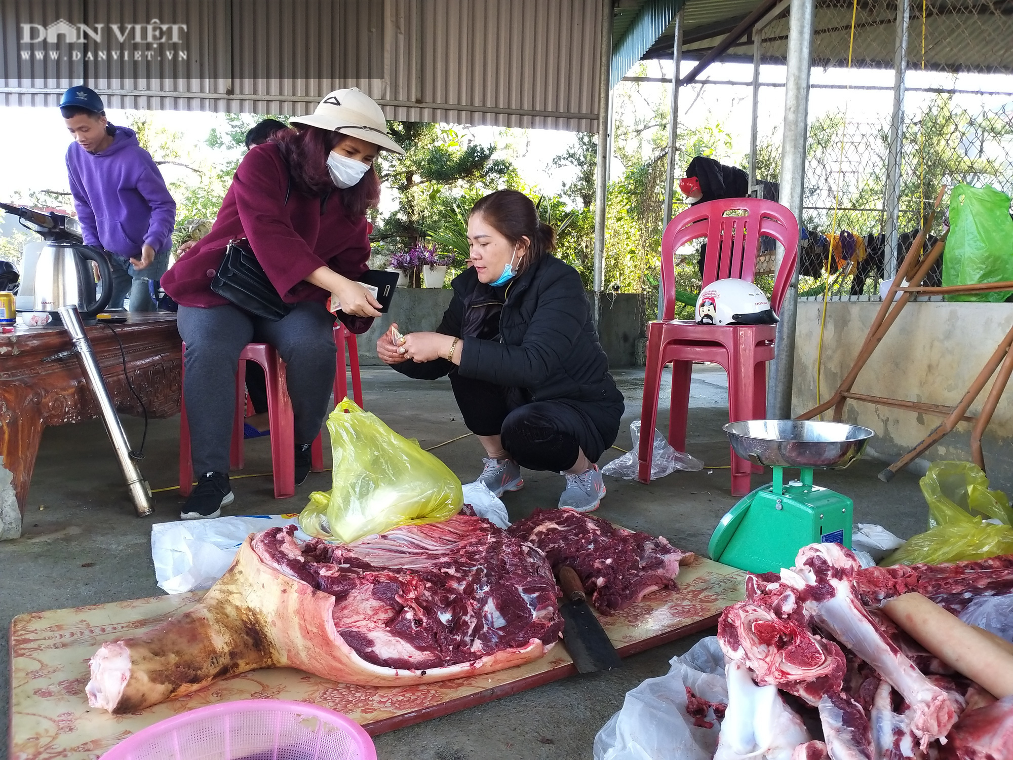 Cận Tết, mổ thịt&quot;con sửu&quot; bán giá cao nhất làng, lão nông Ninh Bình nói điều này mà hút đông khách đến mua hết hàng - Ảnh 2.