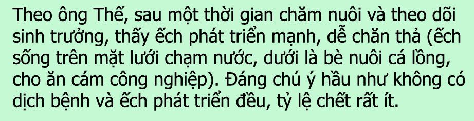 Phú Thọ: &quot;Gà đồng&quot; là con gì mà dân ở đây ra sông Đà nuôi la liệt, vớt lên bờ bán 55.000 đồng/kg? - Ảnh 2.