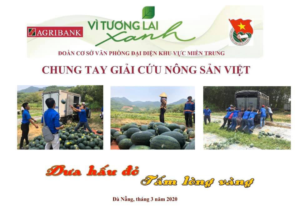Dấu ấn Agribank miền Trung: Gắn trách nhiệm với cộng đồng và an sinh xã hội - Ảnh 5. Dấu ấn Agribank miền Trung: Gắn trách nhiệm với cộng đồng và an sinh xã hội - Ảnh 5.