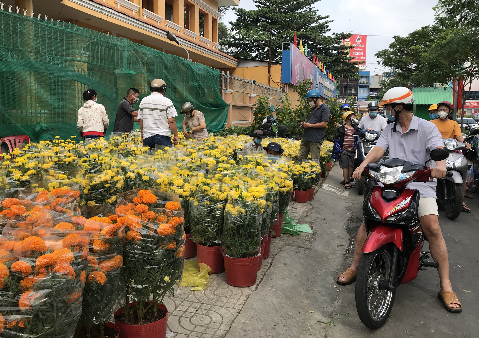 TP.HCM: Đổ xô đi mua hoa hỗ trợ nhà vườn, người bán sáng 30 Tết - Ảnh 12.