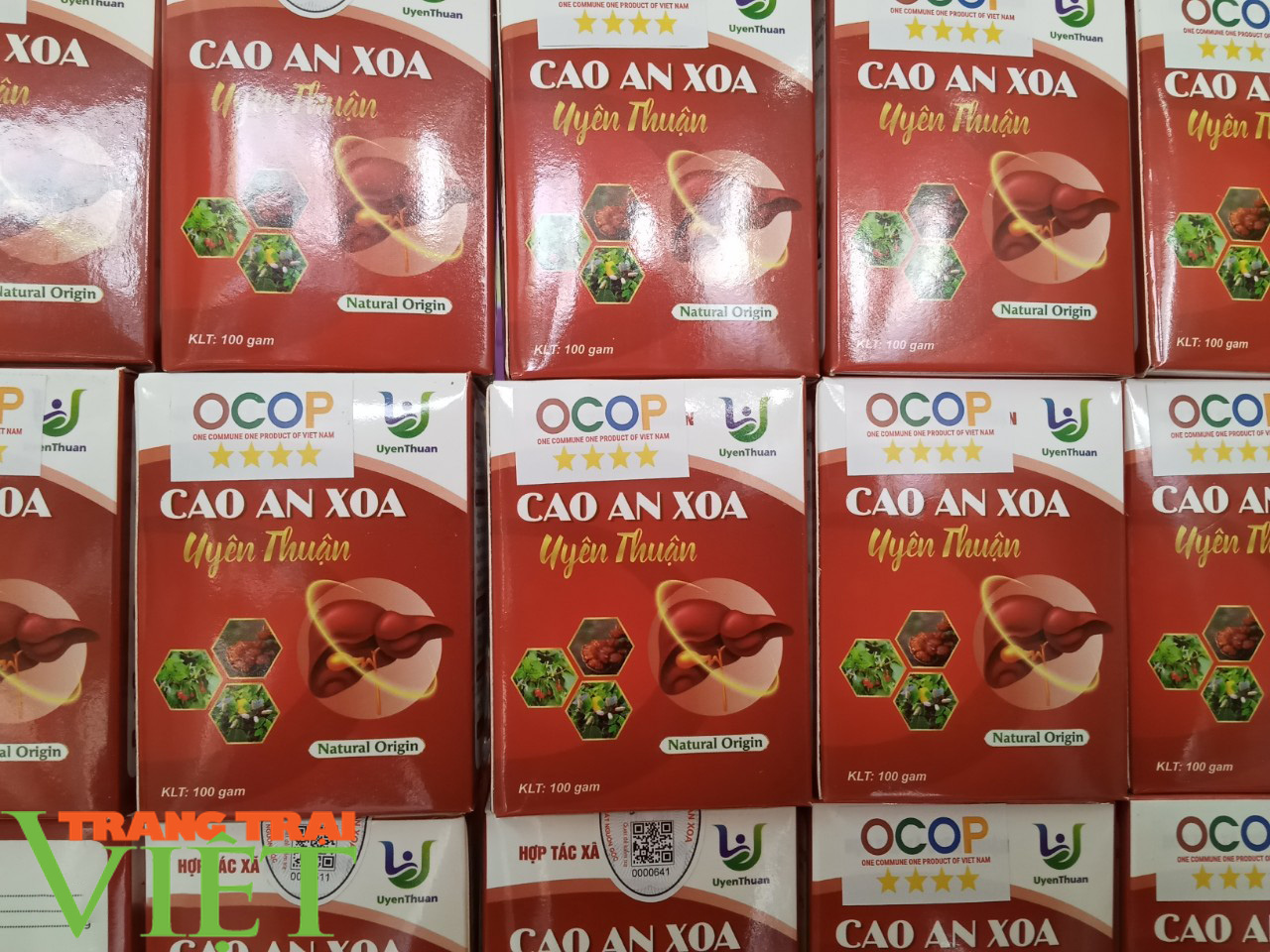 Cao An Xoa Uyên Thuận – dược phẩm vàng cho sức khỏe - Ảnh 4.