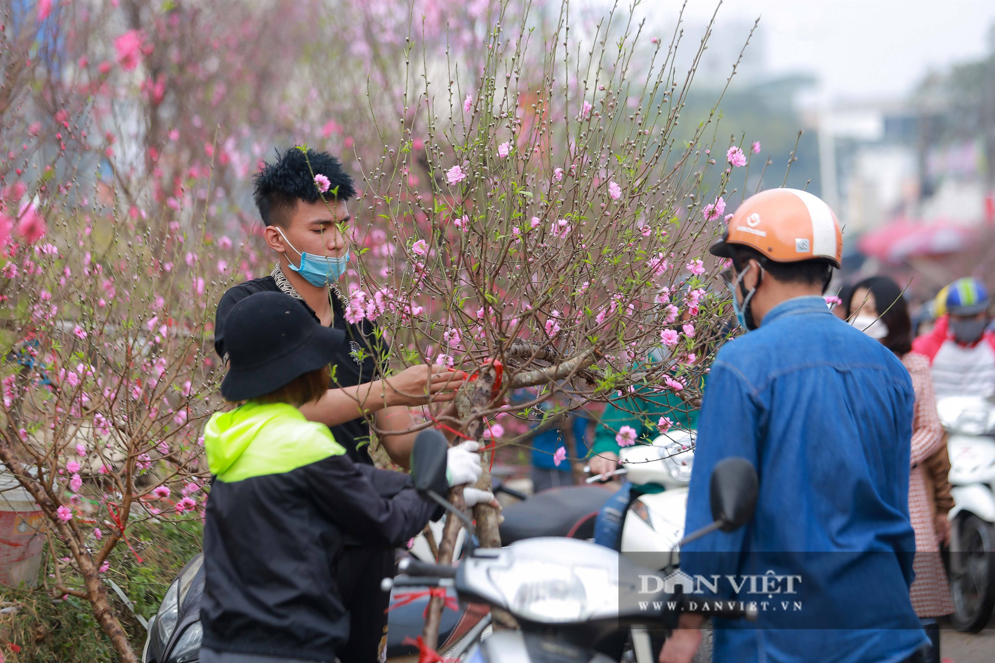 Chợ hoa Quảng Bá tấp nập những ngày cuối năm - Ảnh 9.