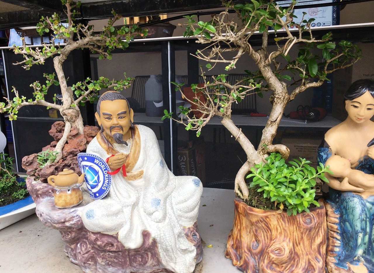 Bộ sưu tập bonsai mini đạt kỷ lục thế giới được trưng bày tại Nha Trang - Ảnh 4.