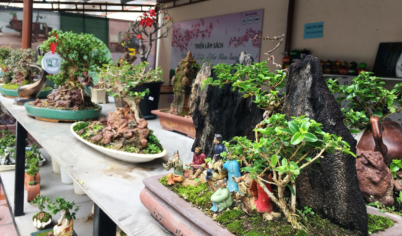 Bộ sưu tập bonsai mini đạt kỷ lục thế giới được trưng bày tại Nha Trang - Ảnh 2.