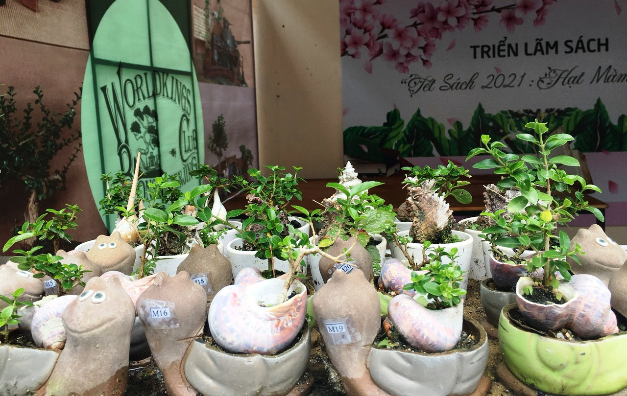 Bộ sưu tập bonsai mini đạt kỷ lục thế giới được trưng bày tại Nha Trang - Ảnh 1.