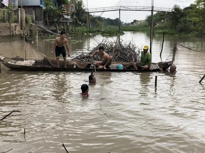 Đồng Tháp: Đi thuyền ra nhánh sông Hậu xem nông dân dỡ chà bắt cá, cá đồng, tôm sông búng nhảy tanh tách - Ảnh 1.