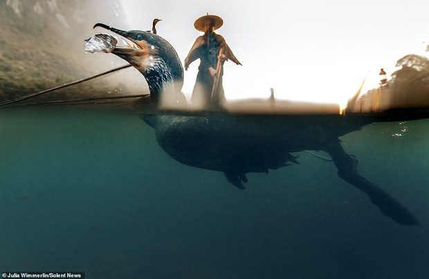 Độc đáo phương pháp đánh cá bằng chim cốc của ngư dân ở Trung Quốc - Ảnh 5.