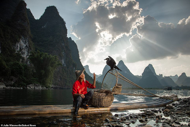 Độc đáo phương pháp đánh cá bằng chim cốc của ngư dân ở Trung Quốc - Ảnh 7.
