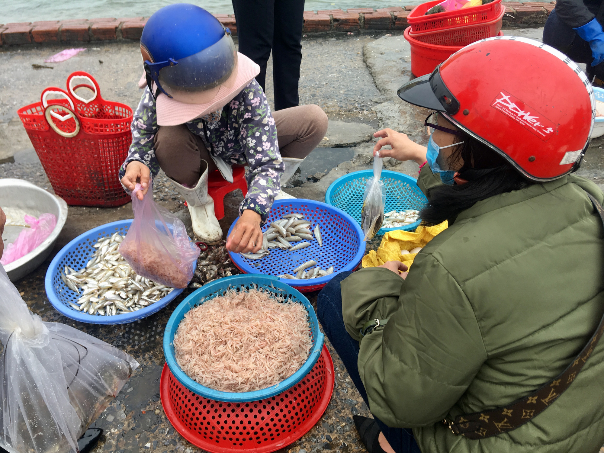 Ngư dân Quảng Bình săn “lộc biển” đầu năm cập bến đầy khoang cá, ruốc biển - Ảnh 5.