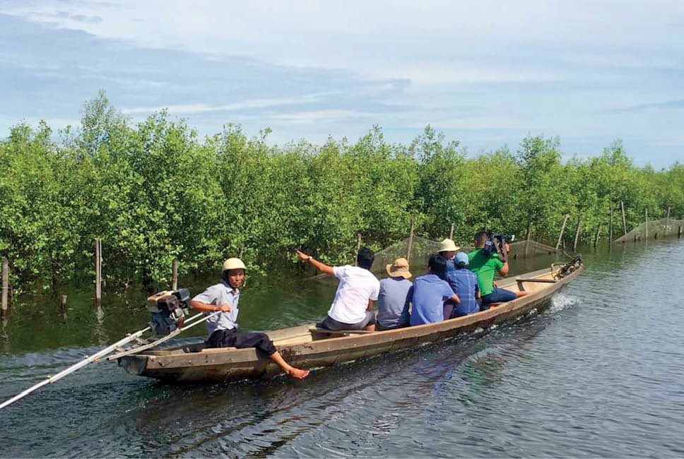 TT-Huế: Lũ cá, tôm từ rừng ngập mặn tràn ra đầm phá, dân thỏa sức vẫy vùng giăng lưới, buông câu - Ảnh 3.