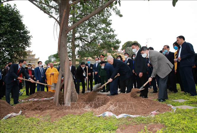 Tổng Bí thư, Chủ tịch nước Nguyễn Phú Trọng trồng cây tại Hoàng thành Thăng Long - Ảnh 3.