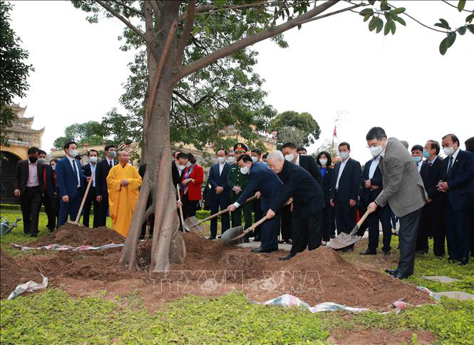 Tổng Bí thư, Chủ tịch nước Nguyễn Phú Trọng trồng cây tại Hoàng thành Thăng Long - Ảnh 4.