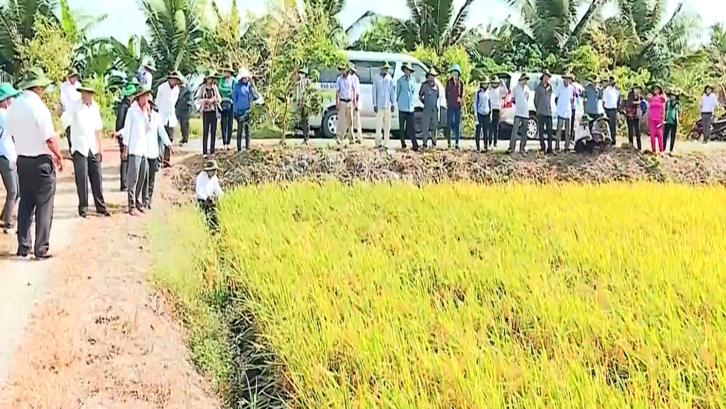 Vĩnh Long: Giải pháp giảm nghèo hiệu quả - Ảnh 5.