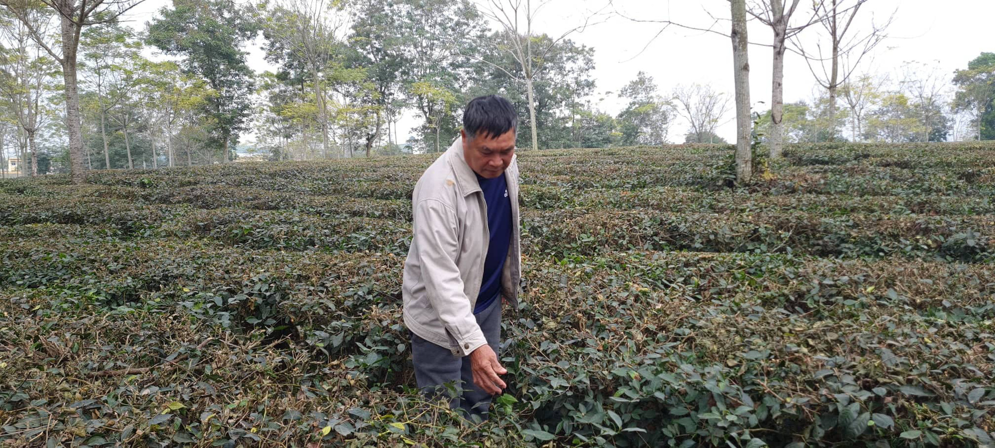 Bài 2: Sở Tài chính tỉnh Tuyên Quang vi phạm luật dân sự về quyền định đoạt tài sản? - Ảnh 1.