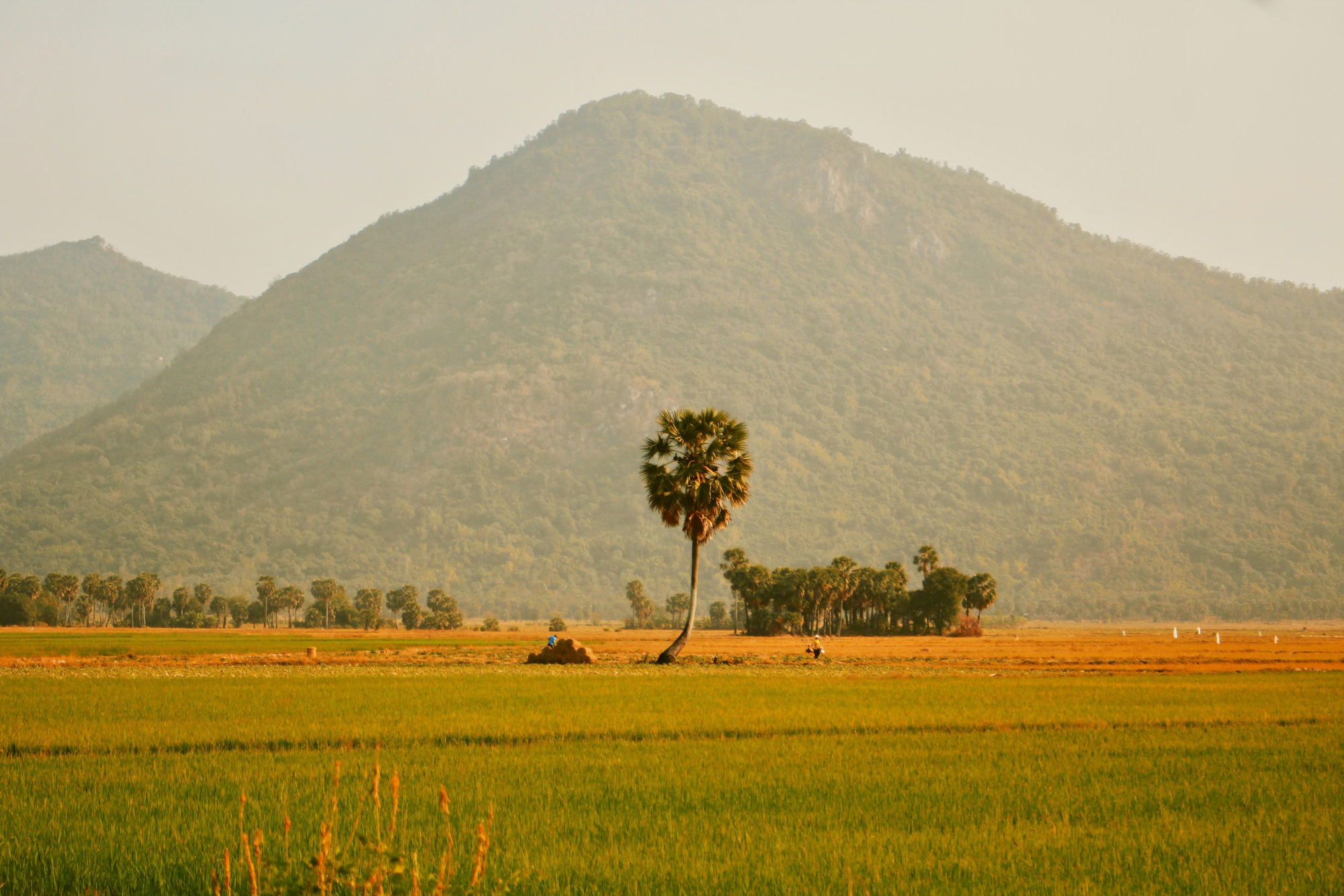 An Giang anh 9