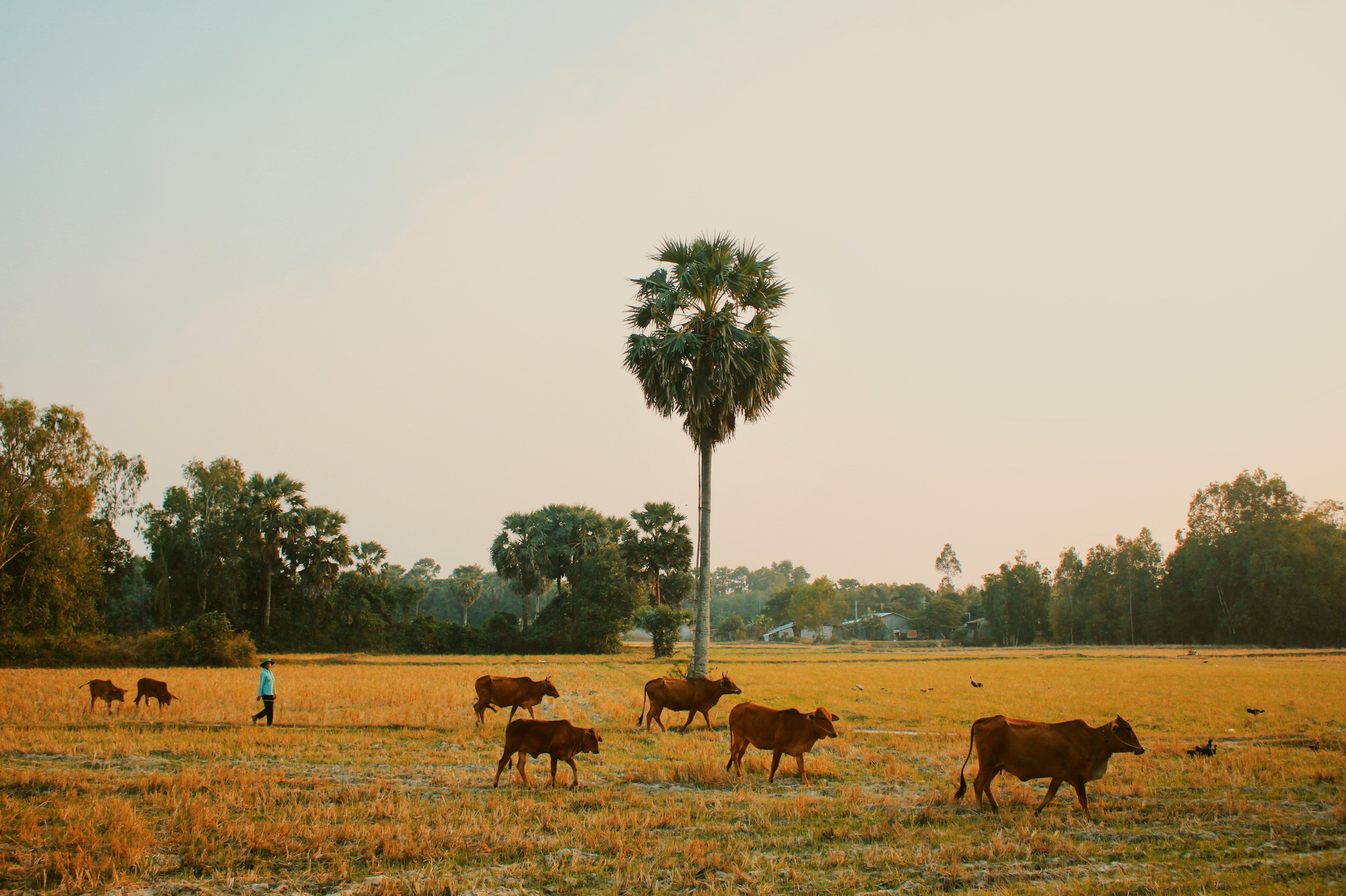 An Giang anh 3