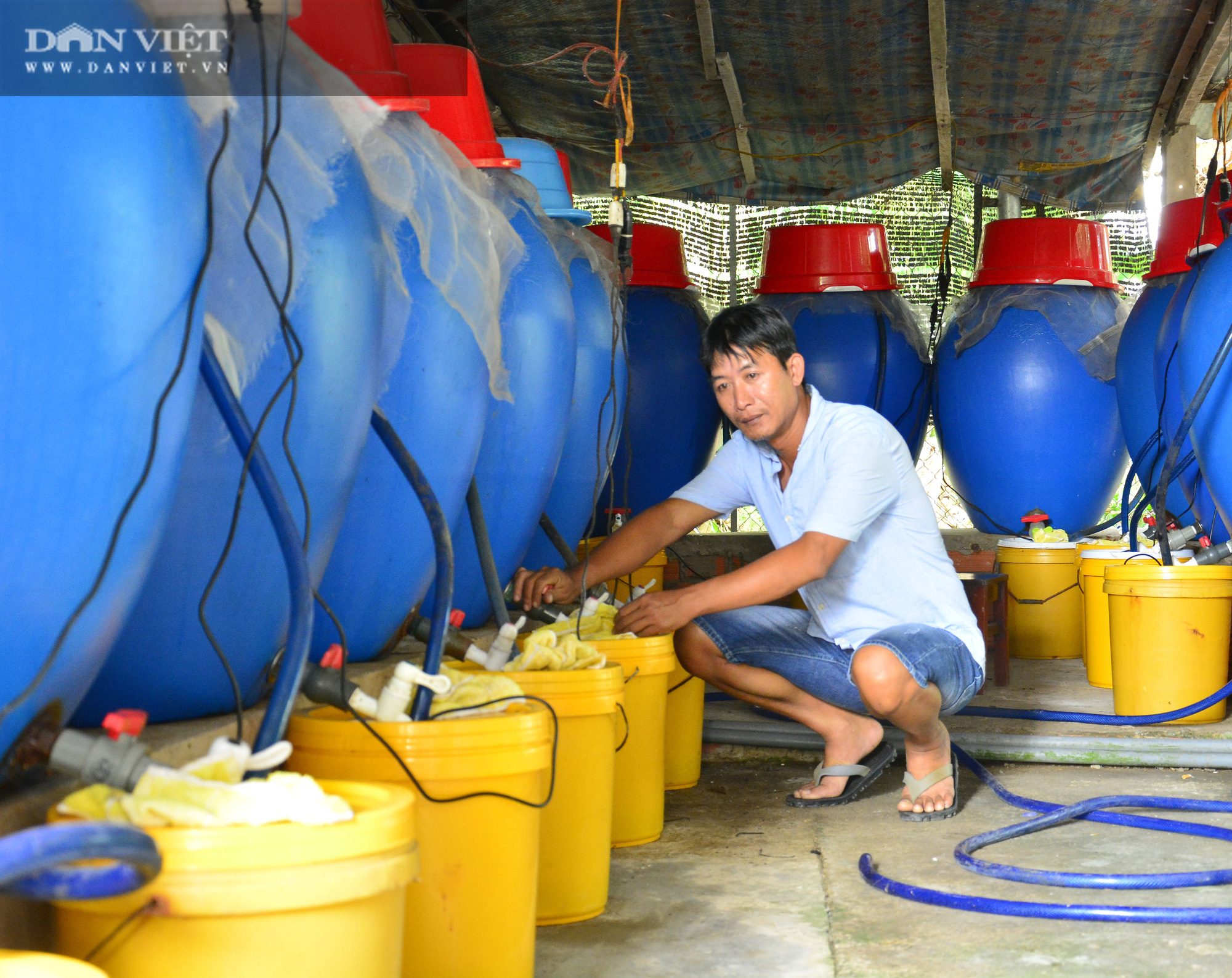 Kiên Giang: Chàng trai với bí quyết làm nước mắm đồng thơm ngon từ các loại cá đặc sản - Ảnh 2.