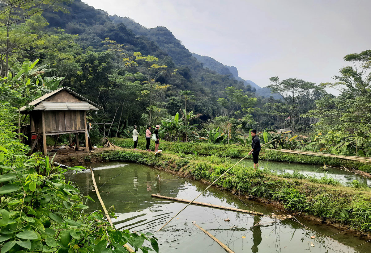 Hòa Bình: Cá &quot;tiến vua&quot; quý hiếm lần đầu tiên đẻ được ở ao nuôi, dân ở đây kiếm bộn tiền - Ảnh 1.