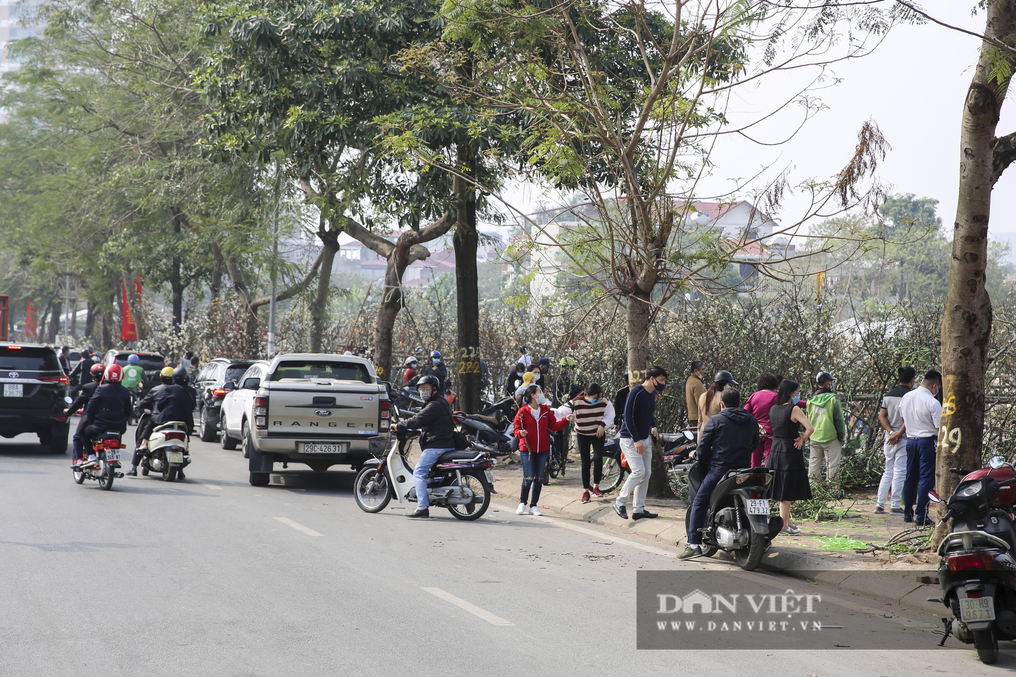 Người Hà Nội chen nhau mua hoa lê sau Tết Nguyên đán - Ảnh 1.