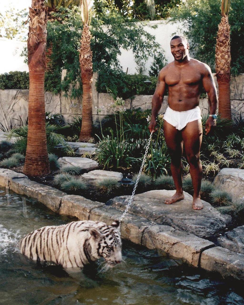 Mike Tyson từng giàu &quot;khủng khiếp&quot; ra sao trước khi bị phá sản? - Ảnh 2.