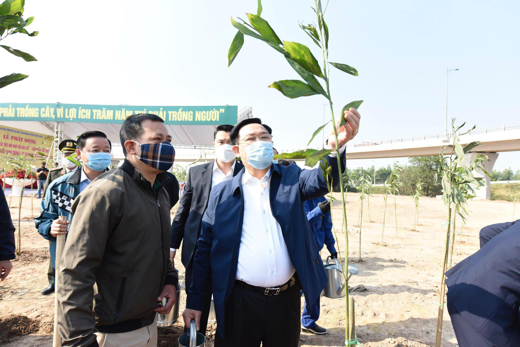 Bí thư, Chủ tịch Hà Nội trồng cây xanh đầu năm, kêu gọi người dân trồng 1 tỷ cây xanh - Ảnh 3.