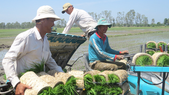 Hợp tác xã giúp nông dân, nông nghiệp vượt qua khủng hoảng - Ảnh 2.