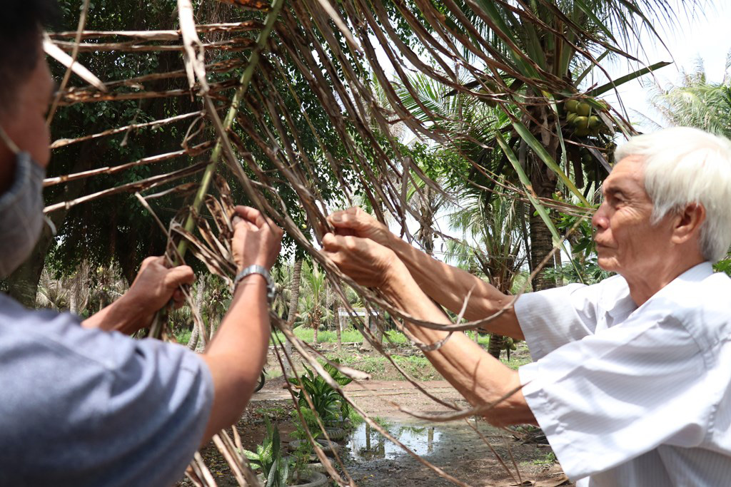 Bến Tre: &quot;Đánh phá&quot; các vườn dừa là loài sâu gì mà tỉnh này &quot;điều&quot; cả thiết bị bay không người lái tìm diệt? - Ảnh 1.