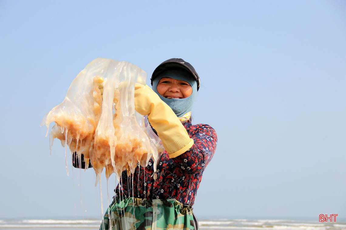 Hà Tĩnh: Đánh bắt, chế biến con mềm nhũn, không não, không tim, ngư dân thu được gần chỉ rưỡi vàng 9999 - Ảnh 2.