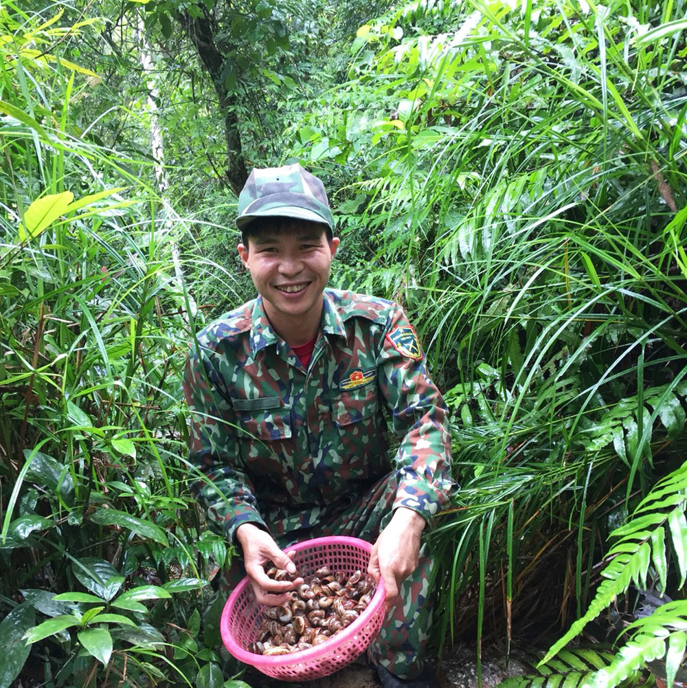 Bắc Giang: Leo núi, vô rừng săn loài ốc trước kia dân ăn chống đói, nay nhặt về bán thành món đặc sản đắt tiền - Ảnh 1.