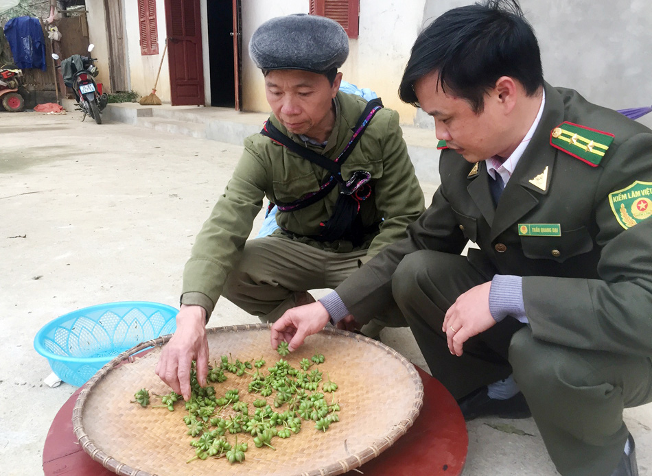 Lào Cai: Bát giác hương là hoa quý gì mà có 8 cánh, cả thị trấn chỉ có 1 nhà trồng?  - Ảnh 6.